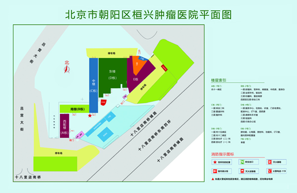 粉嫩逼正在播放北京市朝阳区桓兴肿瘤医院平面图